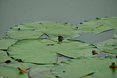 《古剑》科隆游戏展2025预告 未公开画面曝光